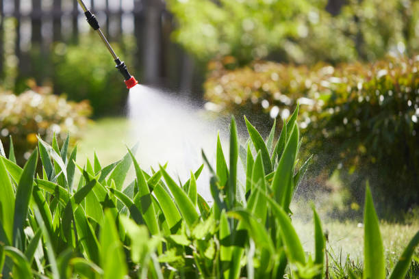 Tamper-Resistant Bait Stations for Rodents in Tunica Resorts