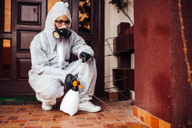 Attic and Crawl Space Rodent Treatment in Tunica Resorts