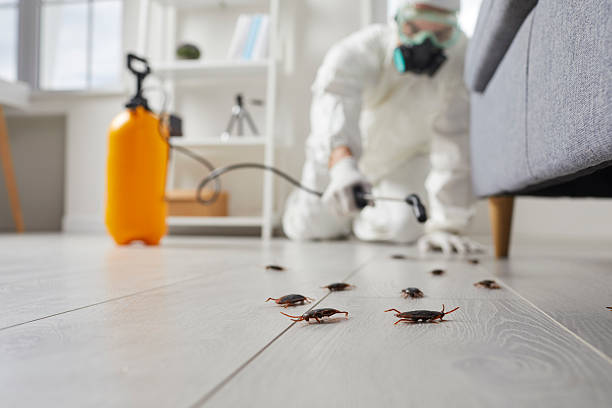 Commercial Rodent Management in Tunica Resorts